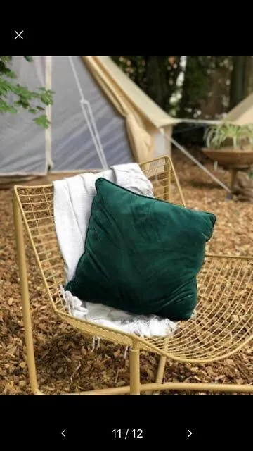 Into The Green Glamping- Beech Markt Nordheim Germany