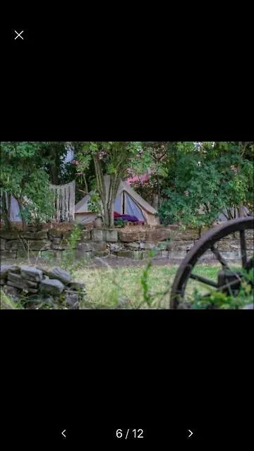 Into The Green Glamping- Beech Markt Nordheim 0*,  Germany