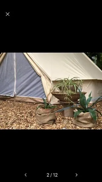 Into The Green Glamping- Beech Markt Nordheim Luxury tent